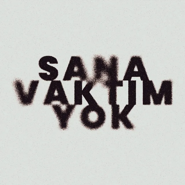 Sana Vaktim Yok