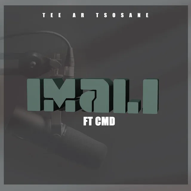 Imali (feat. CMD)