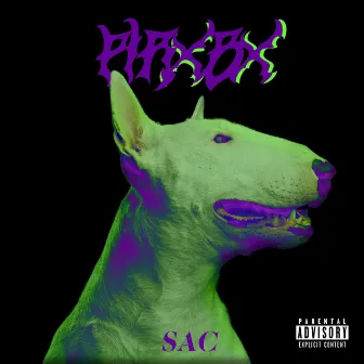 Pirxbx by SAC