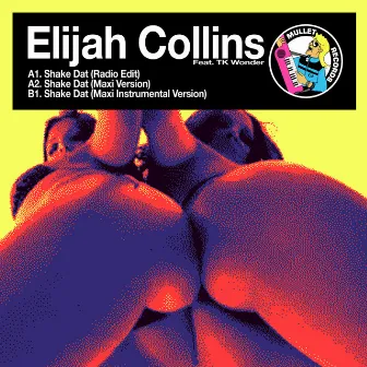 Shake Dat by Elijah Collins