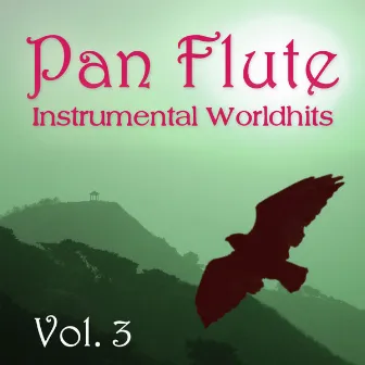 Instrumental Worldhits - Volume 3 by Pan Flute