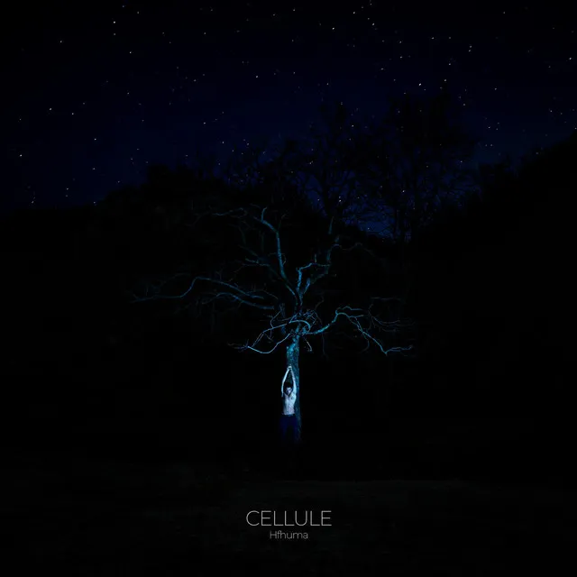 Cellule