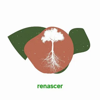 Renascer by Thiago Nunes