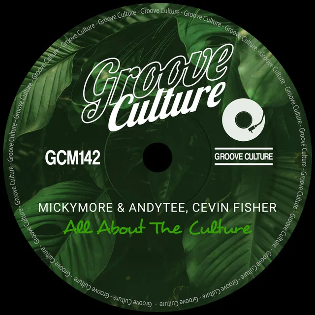 All About the Culture - Radio Edit