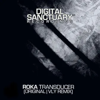 Transducer / Transducer - Vly Remix by Roka