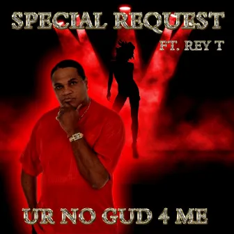 Ur No Gud 4 Me by Special Request