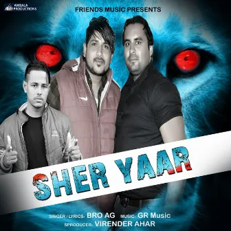 Sher Yaar by Shoki Foji