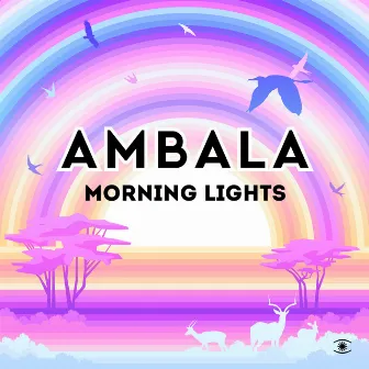 Morning Lights by Ambala