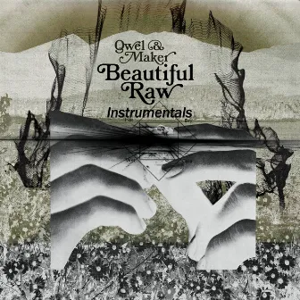 Beautiful Raw Instrumentals by Qwel & Maker