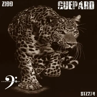 Guepard by Zioo