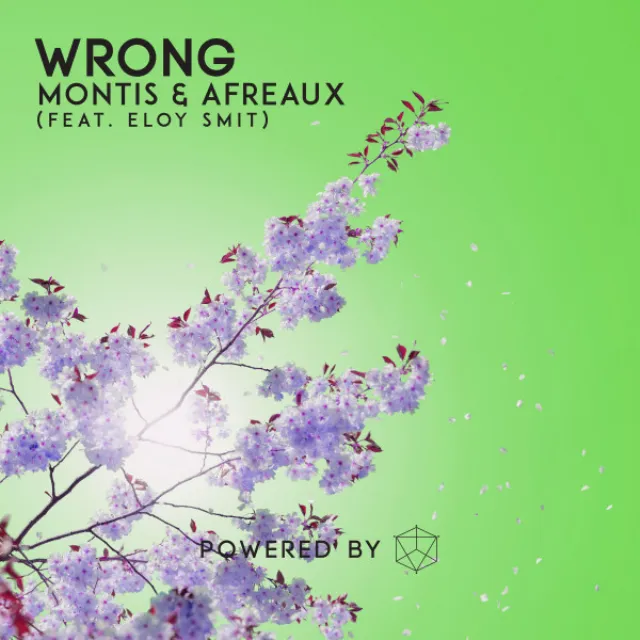 Wrong (feat. Eloy Smit)