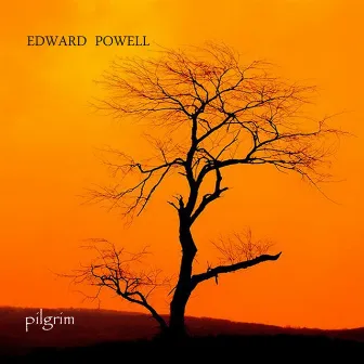 Pilgrim by Edward Powell