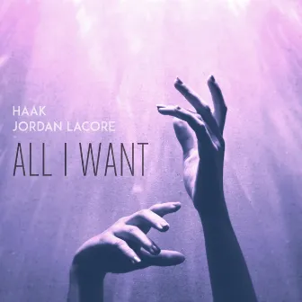 All I Want by haak