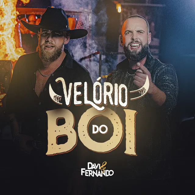 Velório do Boi