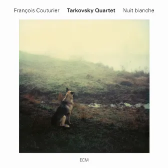 Nuit blanche by Tarkovsky Quartet