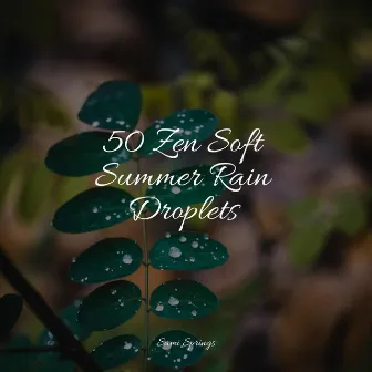 50 Zen Soft Summer Rain Droplets by Academia de Música para Massagem e Relaxamento