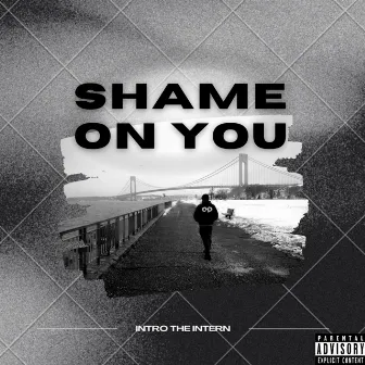 Shame On You by Intro The Intern