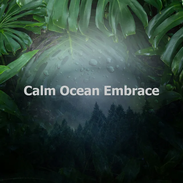 Calm Ocean Embrace