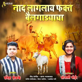 NAD LAGALAY FKT BAILGADYA CHA by Chetan Patil