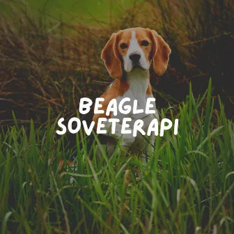 Beagle Soveterapi by Instrumentelle Hundemusik