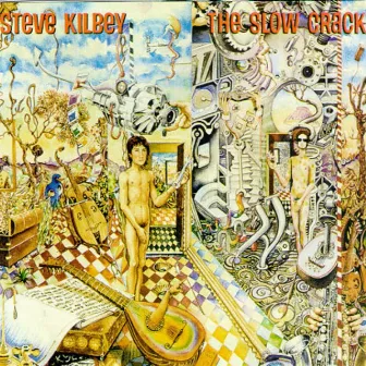 The Slow Crack by Steve Kilbey