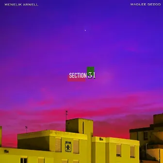 SECTION 31 by Menelik Arnell