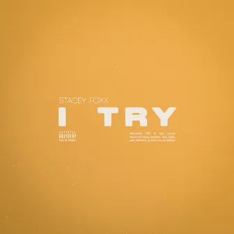 I Try by Stacey Foxx