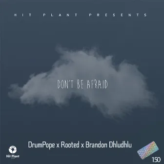 Don't Be Afraid by Rooted