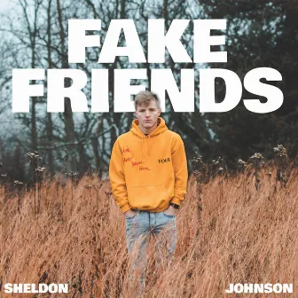 Fake Friends by Sheldon Johnson