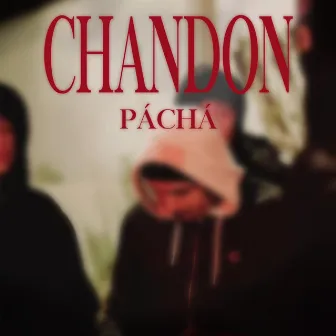 CHANDON by Páchá