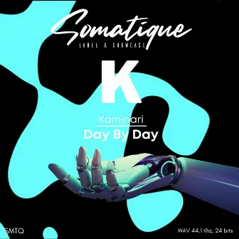 Day by Day by Kaminari (IL)