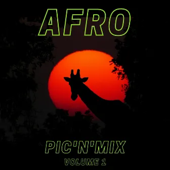 Afro Pic'n'mix Instrumentals by Jay Picasso