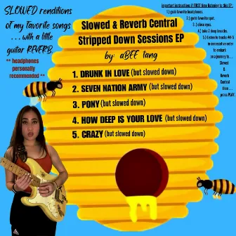 Slowed & Reverb Central Stripped Down Sessions EP by 