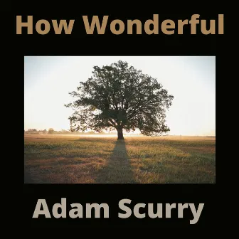 How Wonderful by Adam Scurry