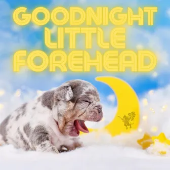 Goodnight Little Forehead by Riffin' Griffin