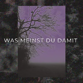 Was meinst du damit by Rafro