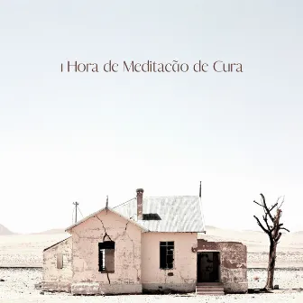 1 Hora de Meditação de Cura - Uma Coleção de Sons Suaves do Gênero Musical New Age Que é Ótimo para Contemplação Profunda e Calma by La Espiritualidad Música Colección