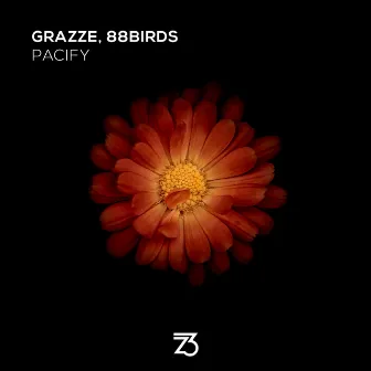 Pacify by 88Birds