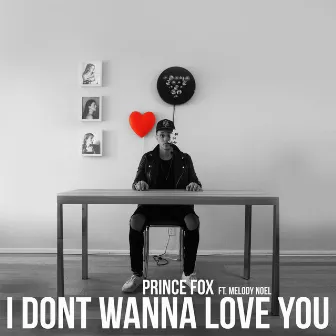 I Don't Wanna Love You by Prince Fox