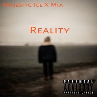 Reality by Majestic Ice