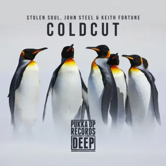 Coldcut by Stolen Soul