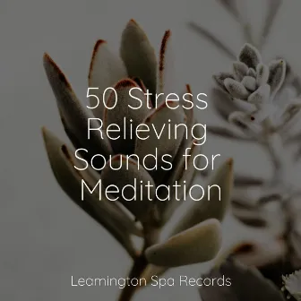 50 Stress Relieving Sounds for Meditation by Rain Sounds ACE