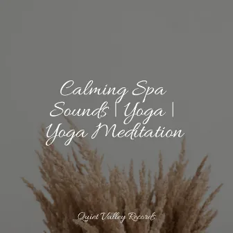 Calming Spa Sounds | Yoga | Yoga Meditation by Unknown Artist