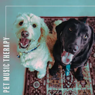 Pet Music Therapy by Pets Music