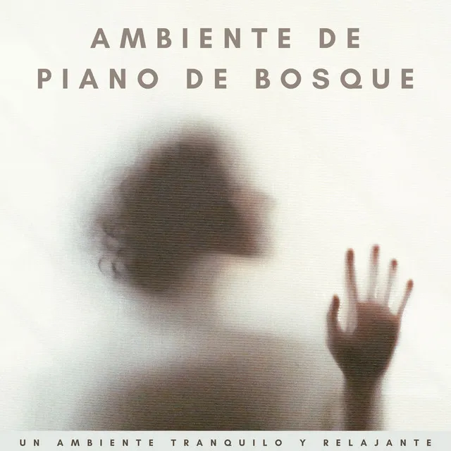 Ambiente De Piano De Bosque: Un Ambiente Tranquilo Y Relajante