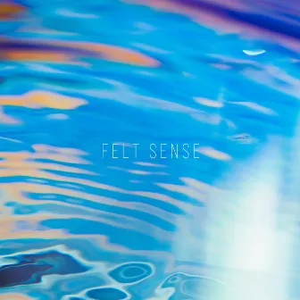 FELT SENSE by moumoon