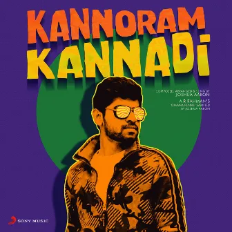 Kannoram Kannadi by Kalyani Menon