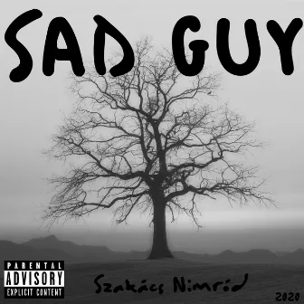 Sad Guy by Dormin