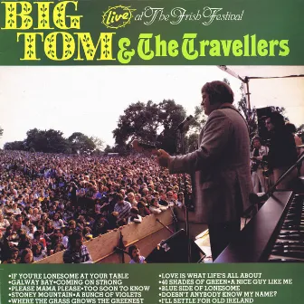 Live at the Irish Festival by The Travellers