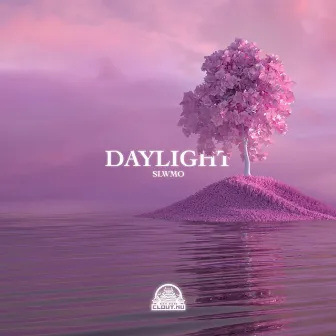 Daylight by SLWMO